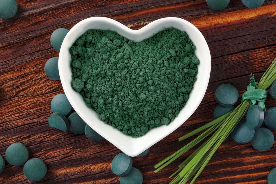 Alga chlorella