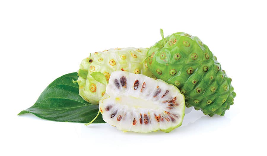 Noni &ndash; owoc rosnący na krzewach.